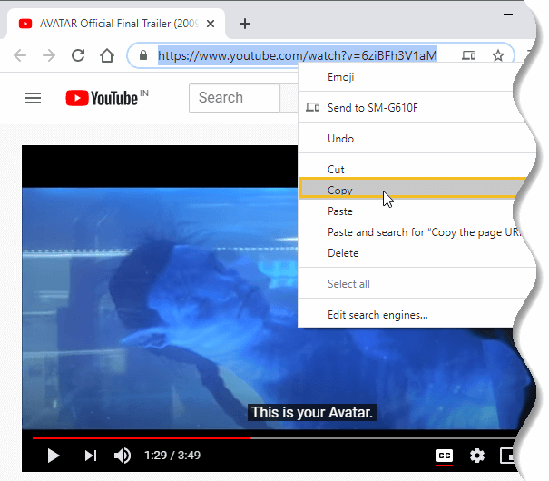 youtube subtitle extractor web